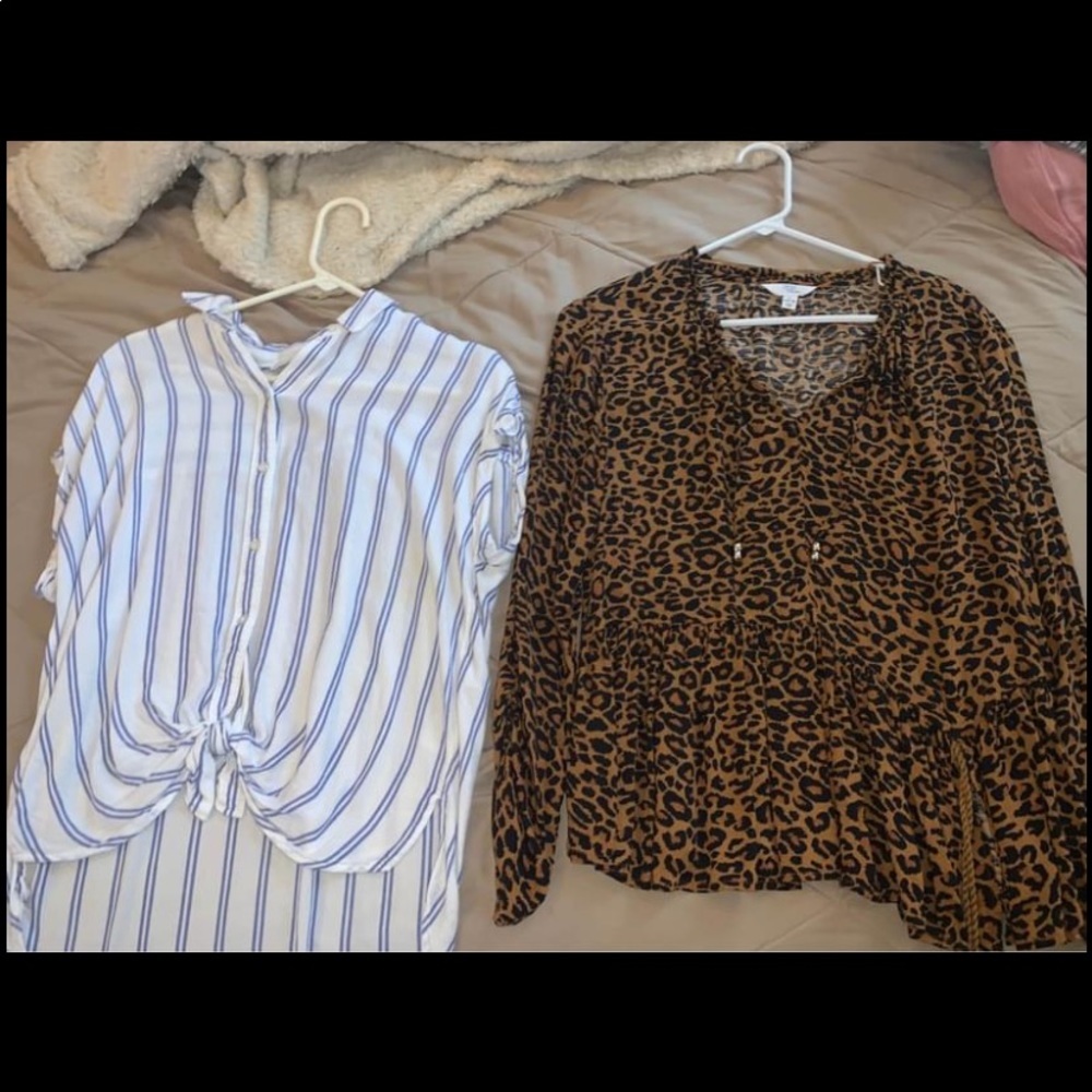 Clothes - Picture 4 of 4